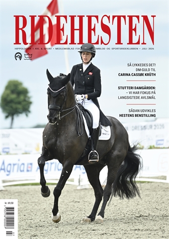 Ridehesten - Juli
